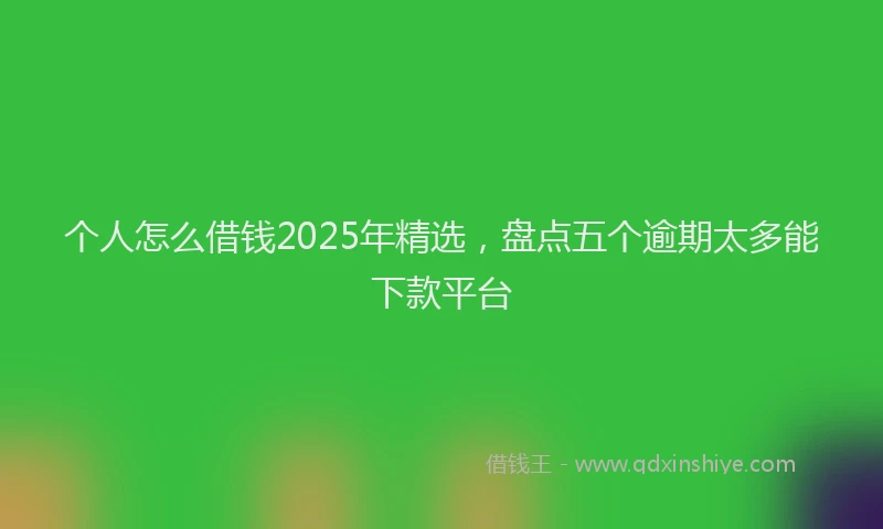 个人怎么借钱2025年精选,盘点五个逾期太多能下款平台
