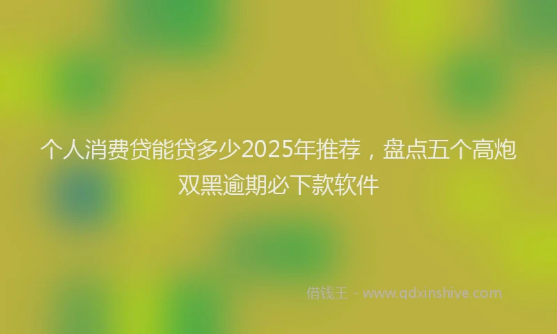 个人消费贷能贷多少2025年推荐，盘点五个高炮双黑逾期必下款软件