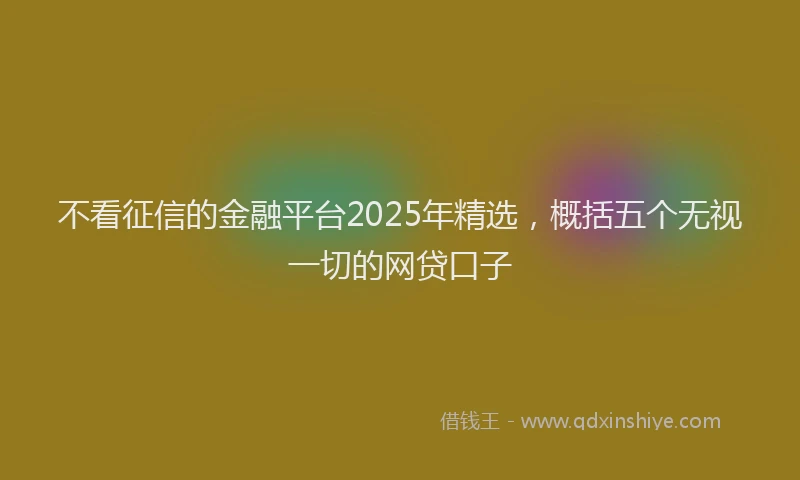 不看征信的金融平台2025年精选，概括五个无视一切的网贷口子