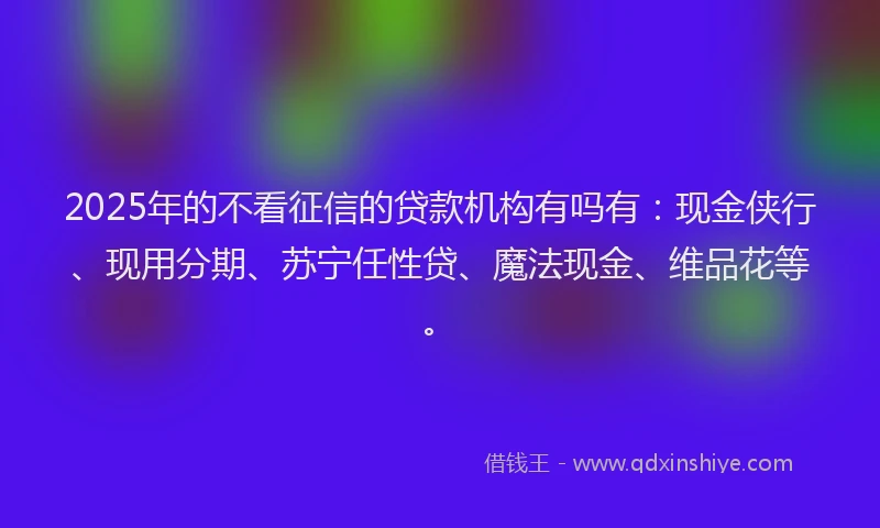 2025年的不看征信的贷款机构有吗有:现金侠行、现用分期、苏宁任性贷、魔法现金、维品花等。