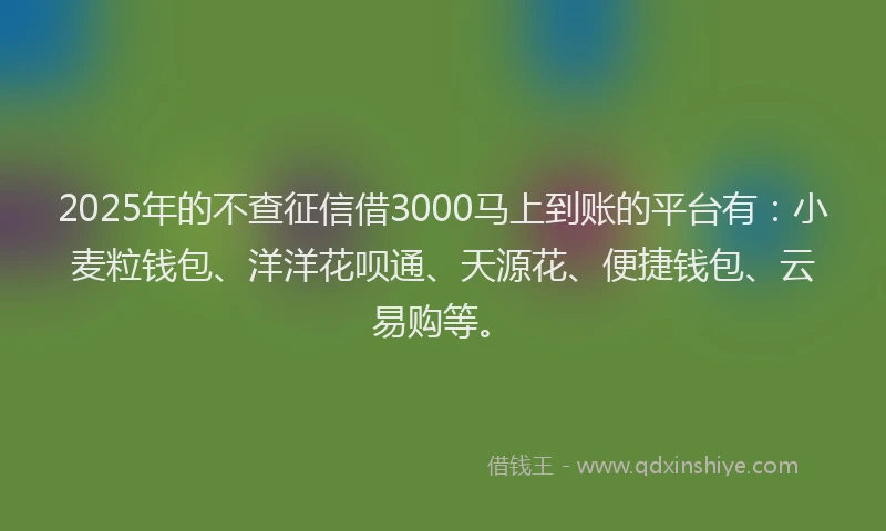 2025年的不查征信借3000马上到账的平台有：小麦粒钱包、洋洋花呗通、天源花、便捷钱包、云易购等。