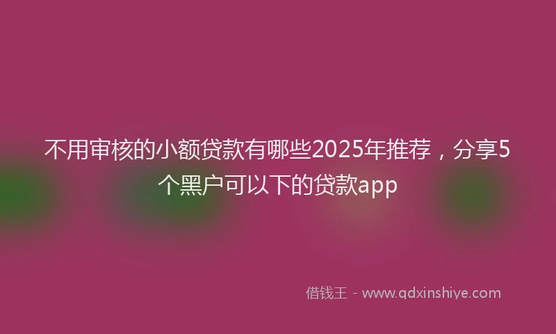 不用审核的小额贷款有哪些2025年推荐，分享5个黑户可以下的贷款app