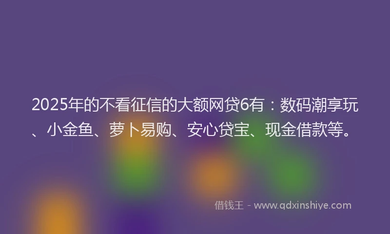 2025年的不看征信的大额网贷6有：数码潮享玩、小金鱼、萝卜易购、安心贷宝、现金借款等。