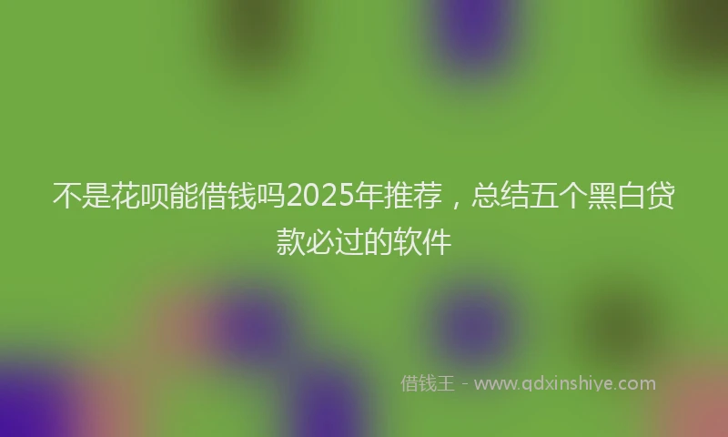 不是花呗能借钱吗2025年推荐，总结五个黑白贷款必过的软件