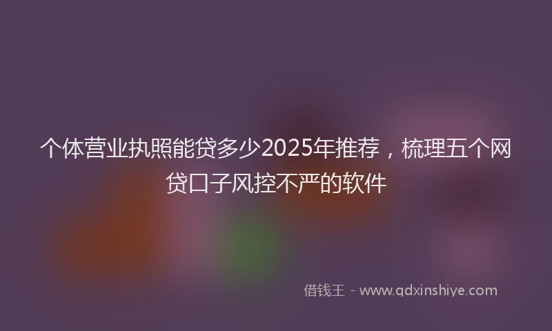 个体营业执照能贷多少2025年推荐，梳理五个网贷口子风控不严的软件