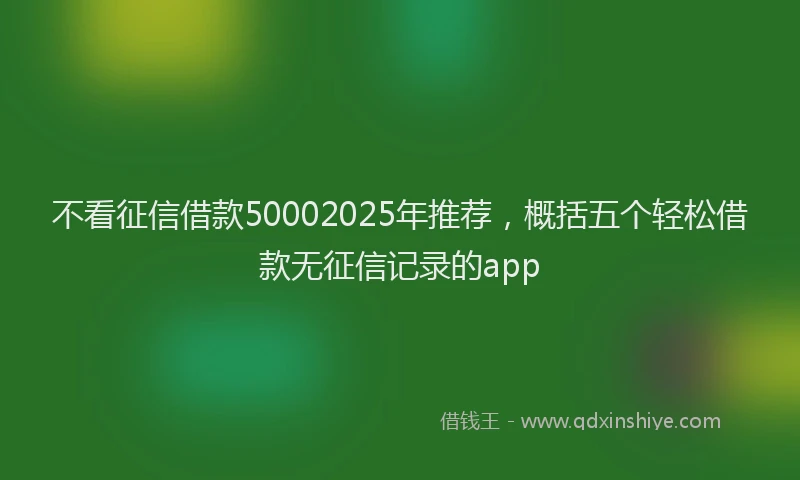 不看征信借款50002025年推荐，概括五个轻松借款无征信记录的app
