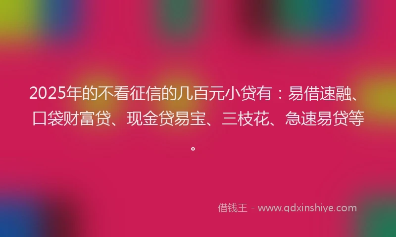 2025年的不看征信的几百元小贷有：易借速融、口袋财富贷、现金贷易宝、三枝花、急速易贷等。