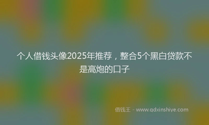 个人借钱头像2025年推荐，整合5个黑白贷款不是高炮的口子