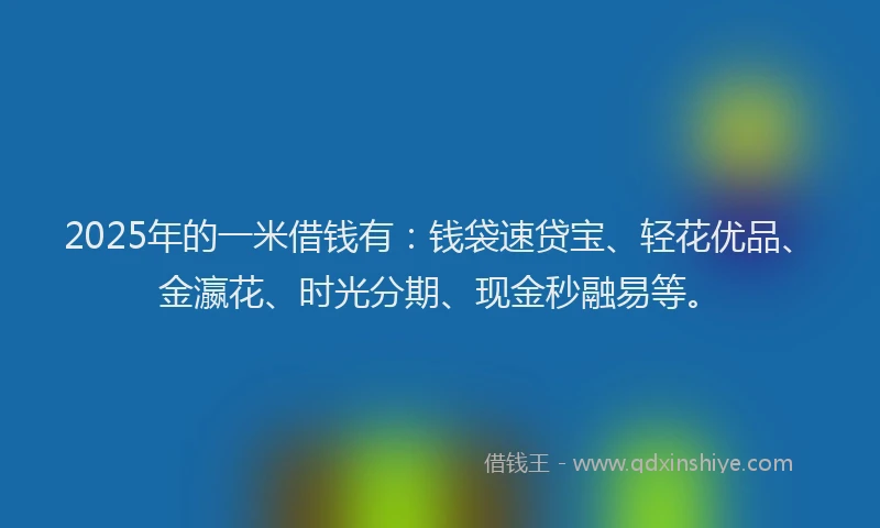2025年的一米借钱有：钱袋速贷宝、轻花优品、金瀛花、时光分期、现金秒融易等。