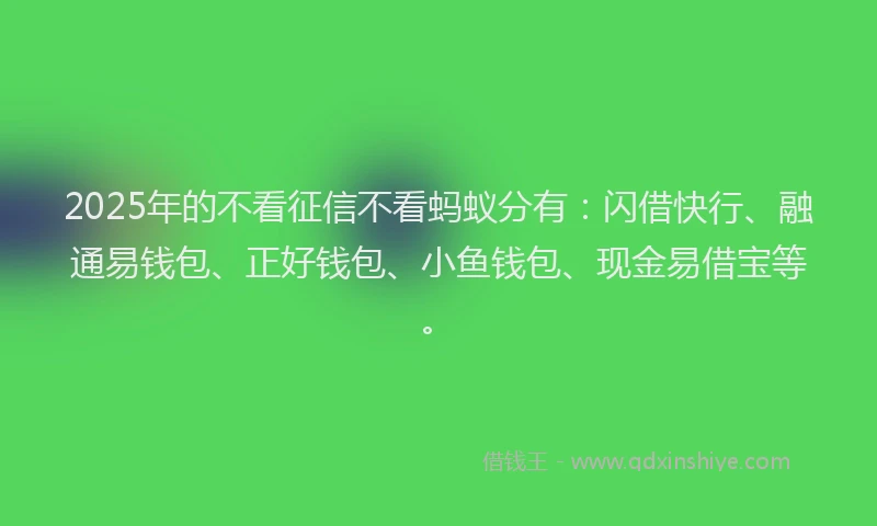 2025年的不看征信不看蚂蚁分有：闪借快行、融通易钱包、正好钱包、小鱼钱包、现金易借宝等。