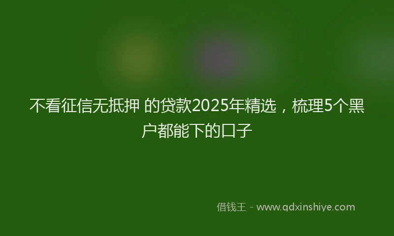 不看征信无抵押 的贷款2025年精选，梳理5个黑户都能下的口子