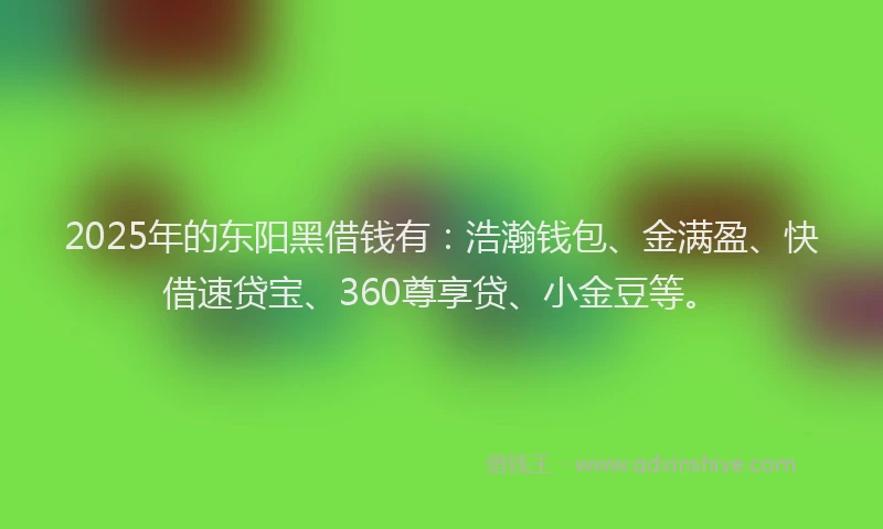2025年的东阳黑借钱有：浩瀚钱包、金满盈、快借速贷宝、360尊享贷、小金豆等。