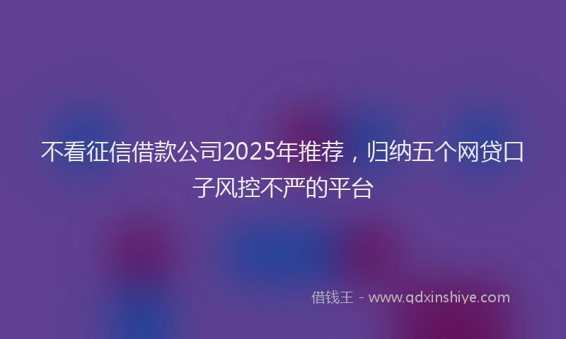 不看征信借款公司2025年推荐，归纳五个网贷口子风控不严的平台