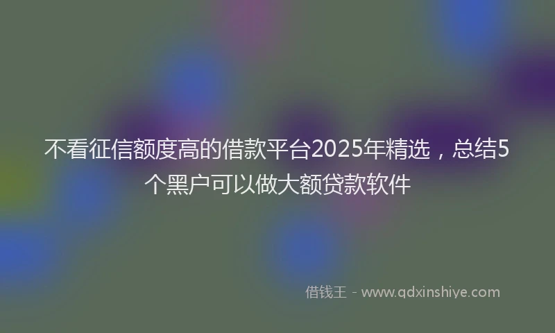 不看征信额度高的借款平台2025年精选，总结5个黑户可以做大额贷款软件
