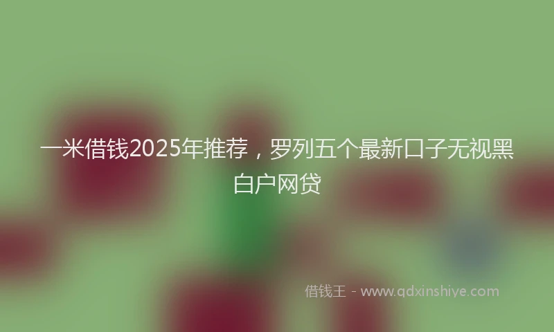 一米借钱2025年推荐，罗列五个最新口子无视黑白户网贷