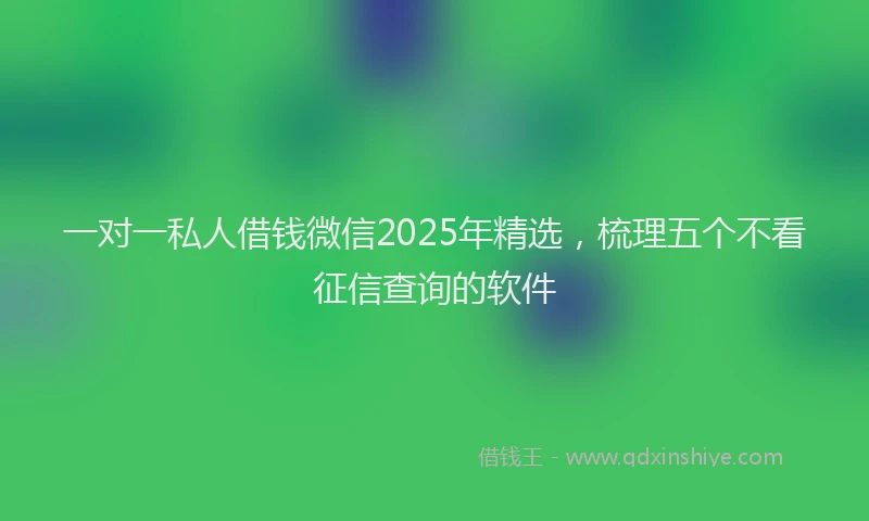 一对一私人借钱微信2025年精选，梳理五个不看征信查询的软件