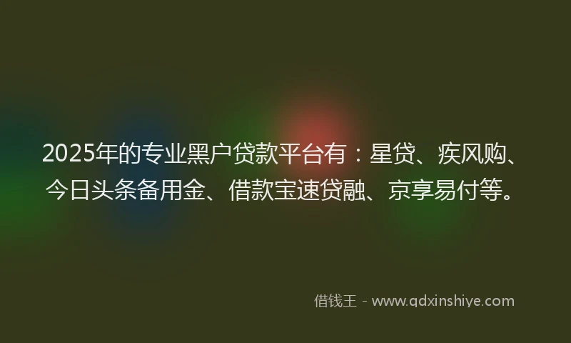 2025年的专业黑户贷款平台有：星贷、疾风购、今日头条备用金、借款宝速贷融、京享易付等。