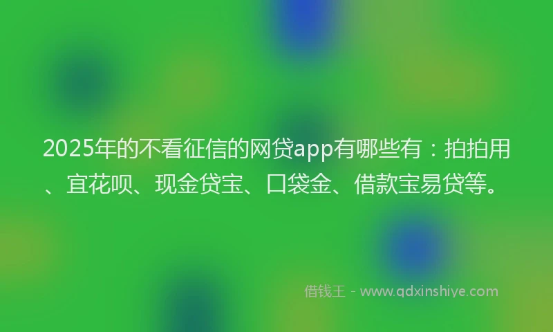 2025年的不看征信的网贷app有哪些有：拍拍用、宜花呗、现金贷宝、口袋金、借款宝易贷等。