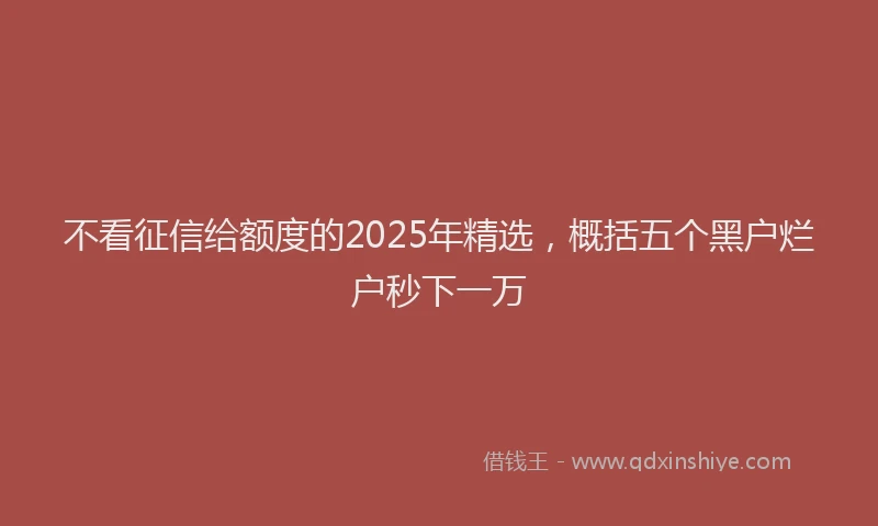 不看征信给额度的2025年精选，概括五个黑户烂户秒下一万