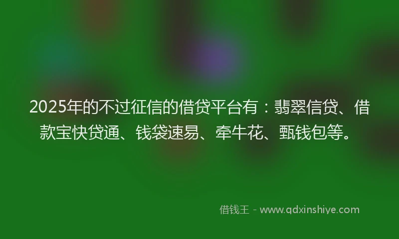 2025年的不过征信的借贷平台有：翡翠信贷、借款宝快贷通、钱袋速易、牵牛花、甄钱包等。