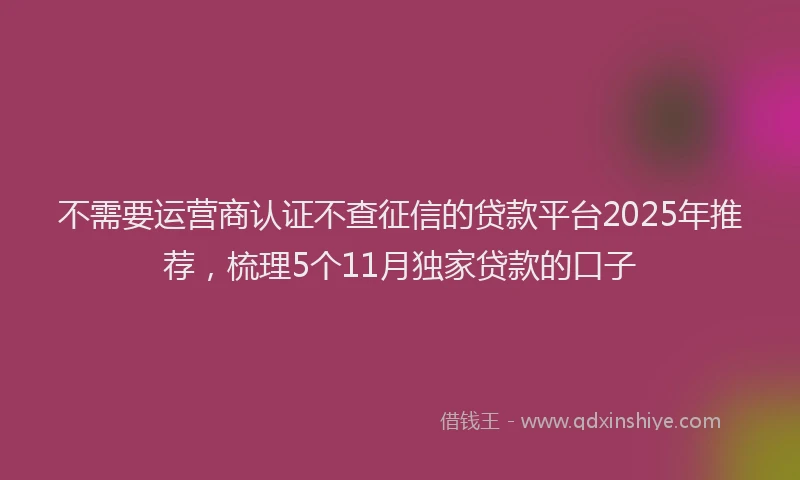 不需要运营商认证不查征信的贷款平台2025年推荐，梳理5个11月独家贷款的口子