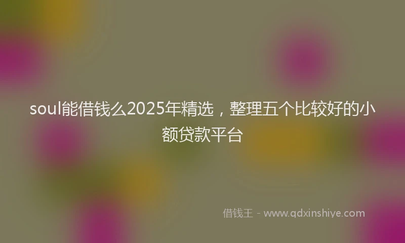 soul能借钱么2025年精选，整理五个比较好的小额贷款平台