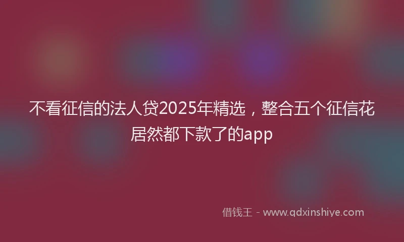 不看征信的法人贷2025年精选，整合五个征信花居然都下款了的app