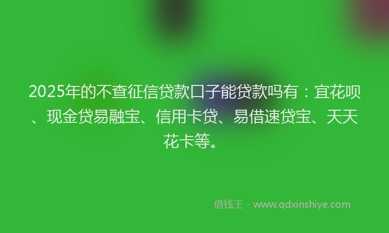 2025年的不查征信贷款口子能贷款吗有：宜花呗、现金贷易融宝、信用卡贷、易借速贷宝、天天花卡等。