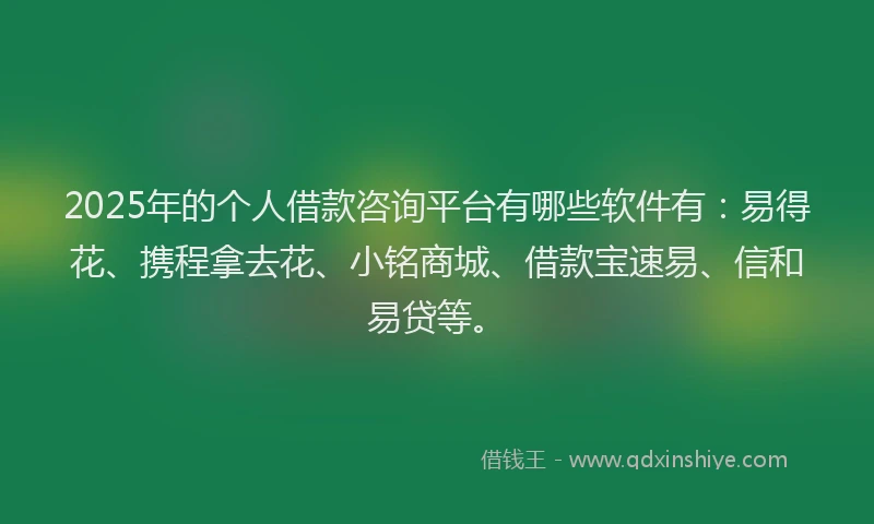 2025年的个人借款咨询平台有哪些软件有：易得花、携程拿去花、小铭商城、借款宝速易、信和易贷等。