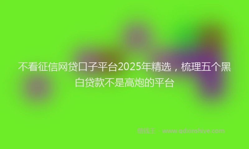 不看征信网贷口子平台2025年精选，梳理五个黑白贷款不是高炮的平台