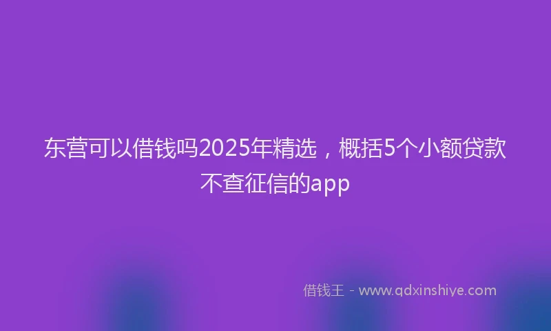 东营可以借钱吗2025年精选，概括5个小额贷款不查征信的app