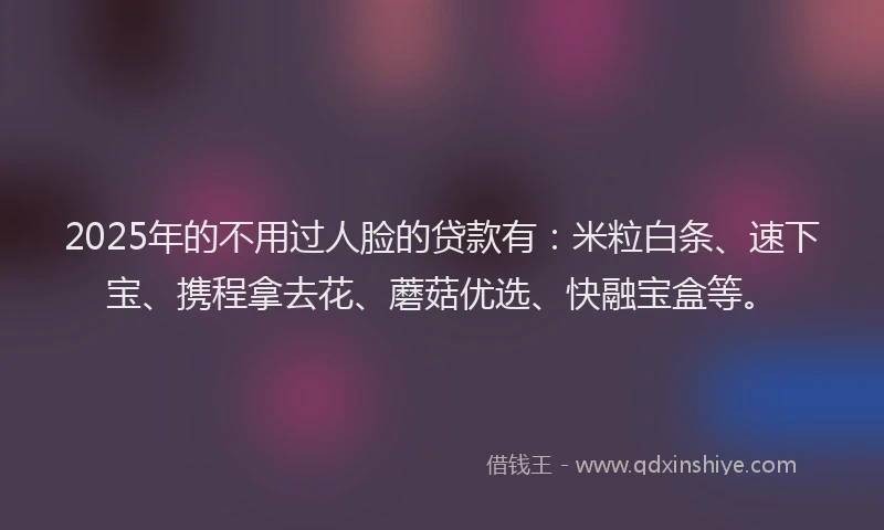 2025年的不用过人脸的贷款有：米粒白条、速下宝、携程拿去花、蘑菇优选、快融宝盒等。