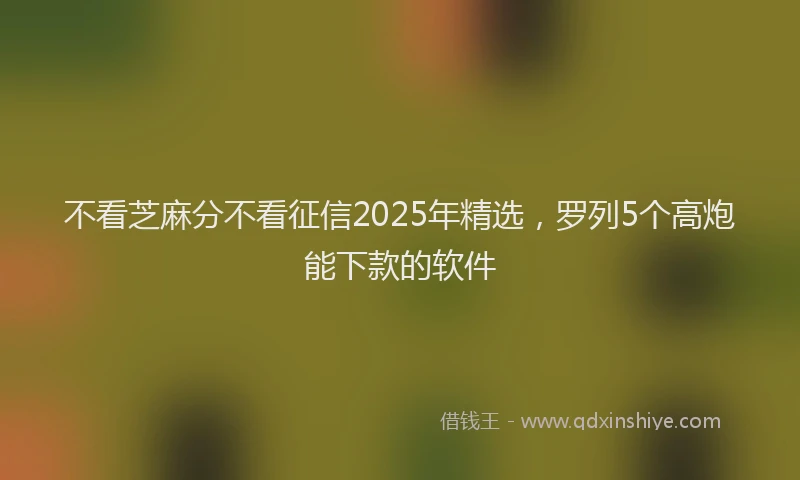 不看芝麻分不看征信2025年精选，罗列5个高炮能下款的软件