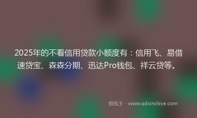 2025年的不看信用贷款小额度有：信用飞、易借速贷宝、森森分期、迅达Pro钱包、祥云贷等。