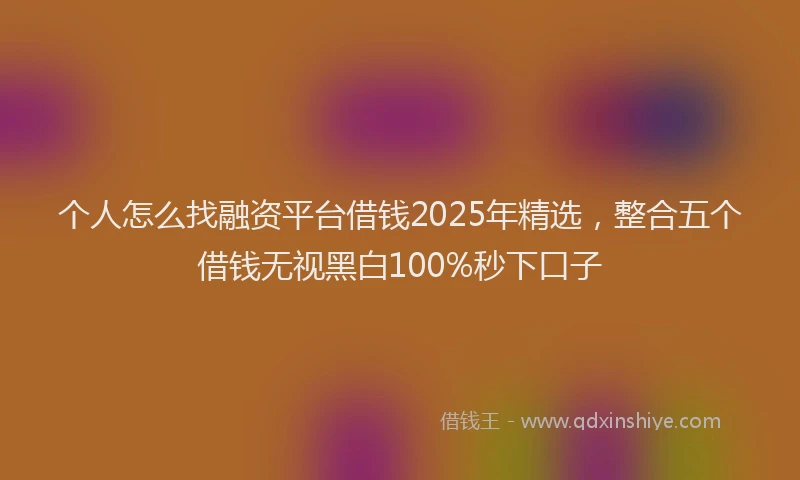 个人怎么找融资平台借钱2025年精选，整合五个借钱无视黑白100%秒下口子