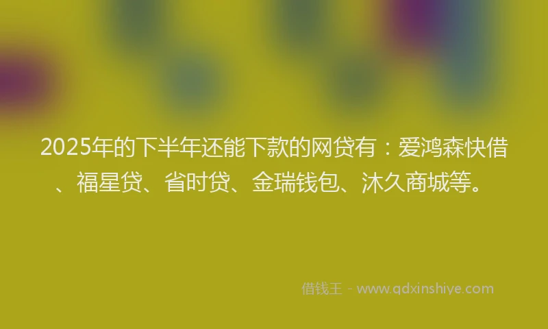 2025年的下半年还能下款的网贷有：爱鸿森快借、福星贷、省时贷、金瑞钱包、沐久商城等。