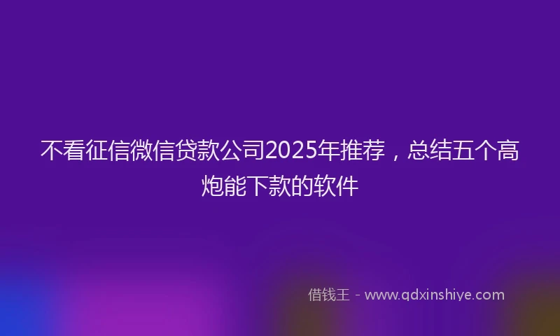 不看征信微信贷款公司2025年推荐，总结五个高炮能下款的软件