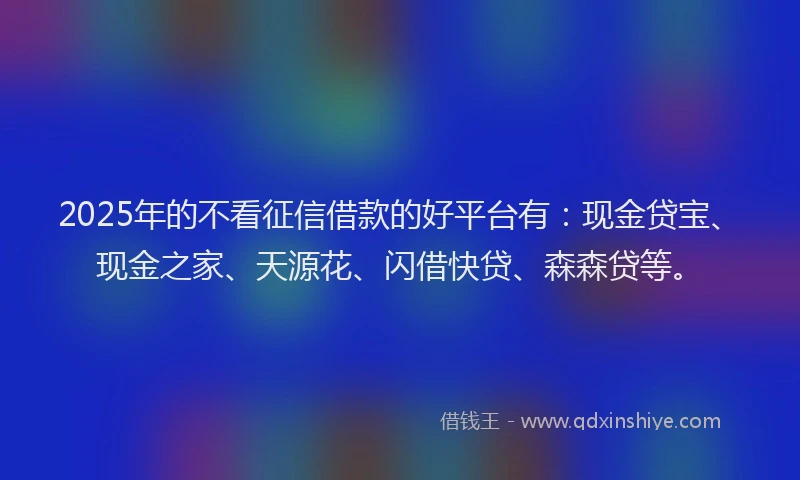 2025年的不看征信借款的好平台有：现金贷宝、现金之家、天源花、闪借快贷、森森贷等。