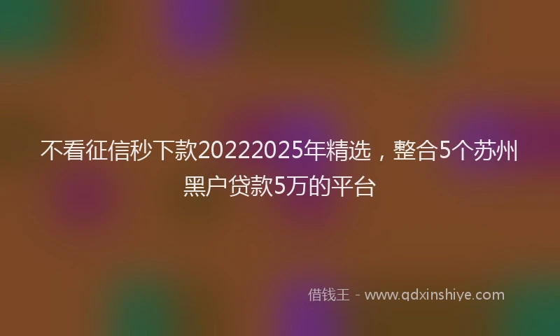 不看征信秒下款20222025年精选，整合5个苏州黑户贷款5万的平台