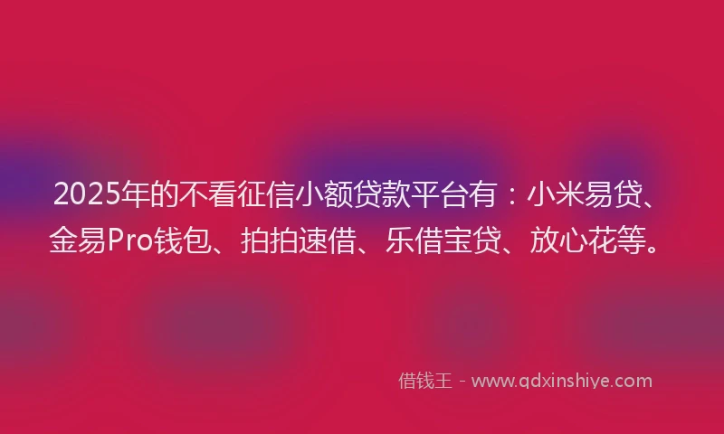 2025年的不看征信小额贷款平台有：小米易贷、金易Pro钱包、拍拍速借、乐借宝贷、放心花等。
