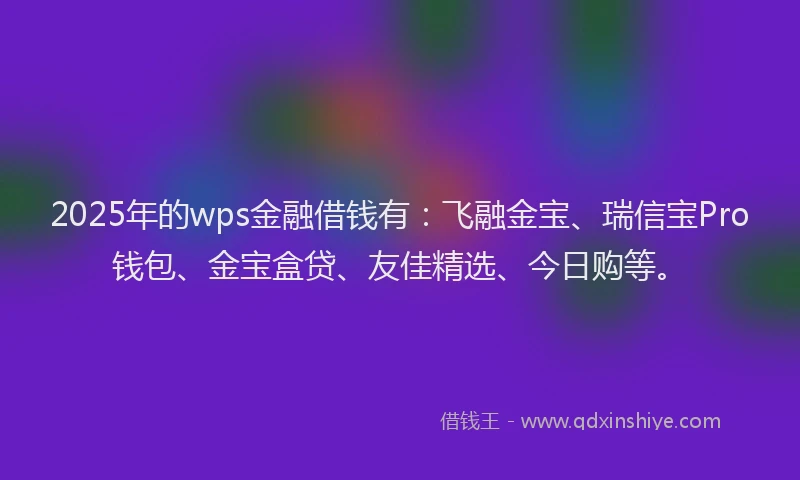 2025年的wps金融借钱有：飞融金宝、瑞信宝Pro钱包、金宝盒贷、友佳精选、今日购等。