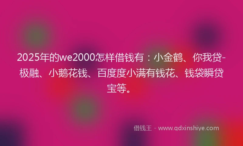 2025年的we2000怎样借钱有：小金鹤、你我贷-极融、小鹅花钱、百度度小满有钱花、钱袋瞬贷宝等。