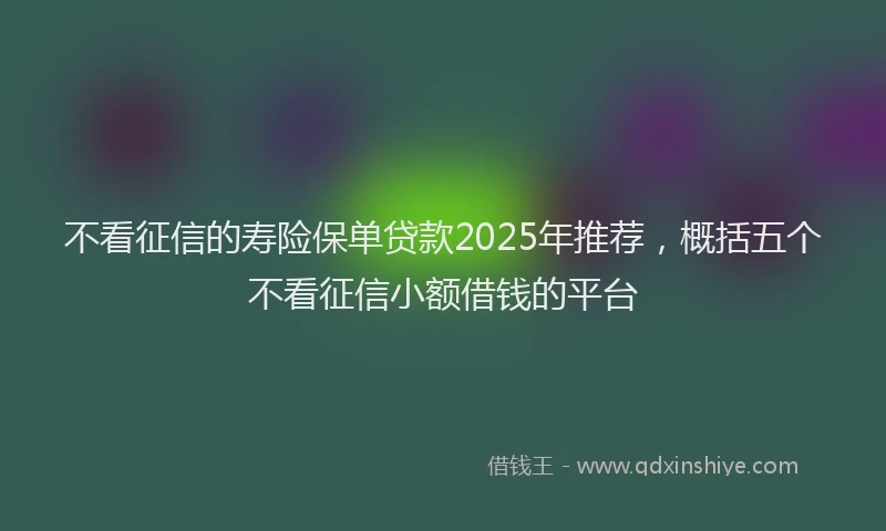 不看征信的寿险保单贷款2025年推荐，概括五个不看征信小额借钱的平台