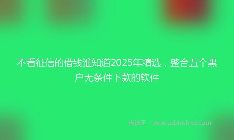 不看征信的借钱谁知道2025年精选，整合五个黑户无条件下款的软件