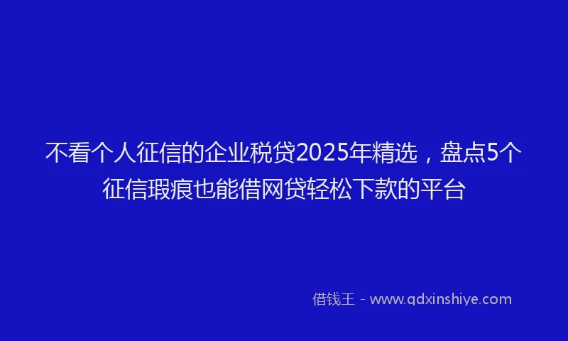 不看个人征信的企业税贷2025年精选，盘点5个征信瑕疵也能借网贷轻松下款的平台