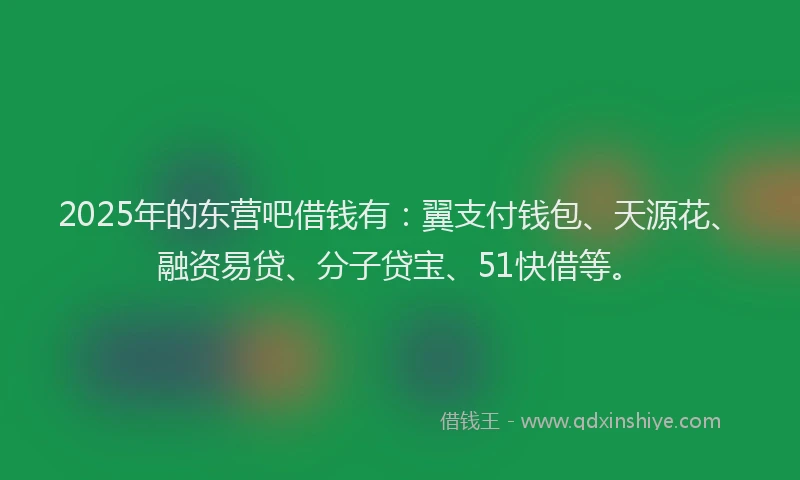 2025年的东营吧借钱有：翼支付钱包、天源花、融资易贷、分子贷宝、51快借等。