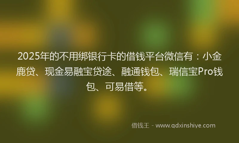 2025年的不用绑银行卡的借钱平台微信有：小金鹿贷、现金易融宝贷途、融通钱包、瑞信宝Pro钱包、可易借等。