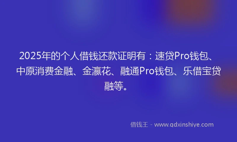 2025年的个人借钱还款证明有：速贷Pro钱包、中原消费金融、金瀛花、融通Pro钱包、乐借宝贷融等。