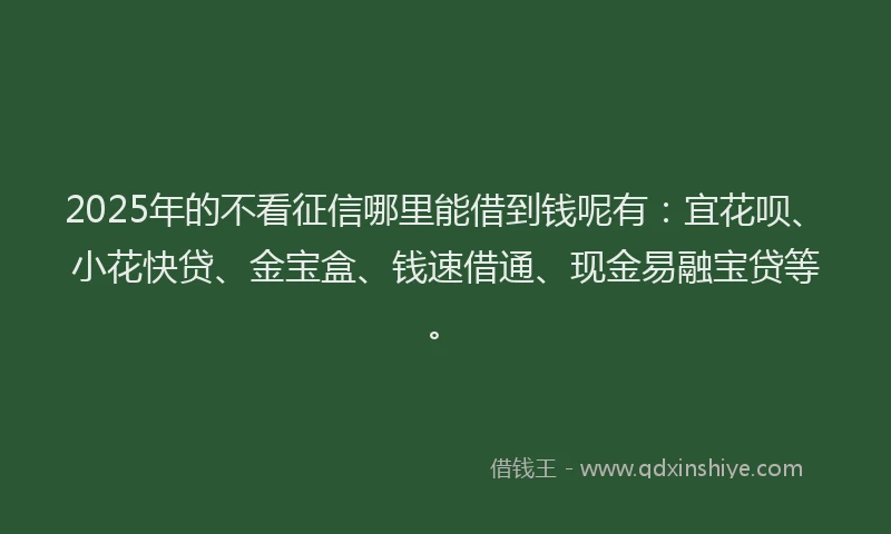 2025年的不看征信哪里能借到钱呢有：宜花呗、小花快贷、金宝盒、钱速借通、现金易融宝贷等。