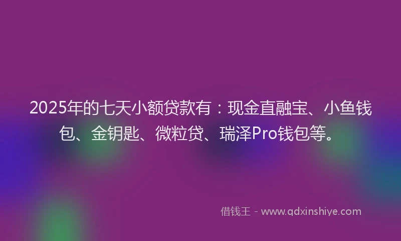 2025年的七天小额贷款有：现金直融宝、小鱼钱包、金钥匙、微粒贷、瑞泽Pro钱包等。